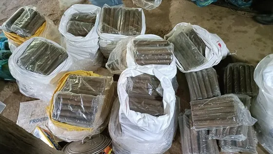 Quảng Nam triệt phá đường dây mua bán 8,7 tấn thuốc nổ liên tỉnh
