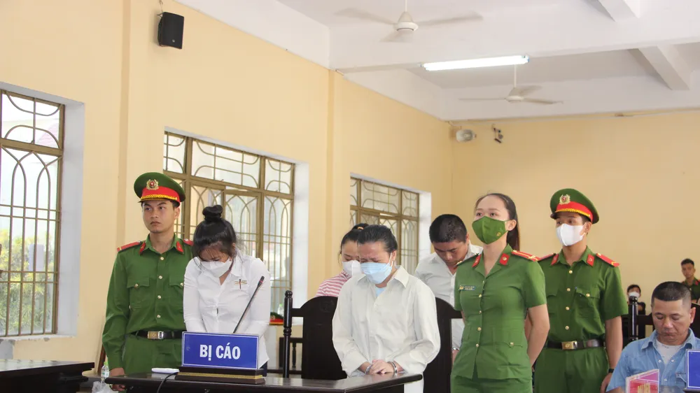 Lừa góp vốn kinh doanh hải sản, chiếm đoạt hơn 405 tỷ đồng