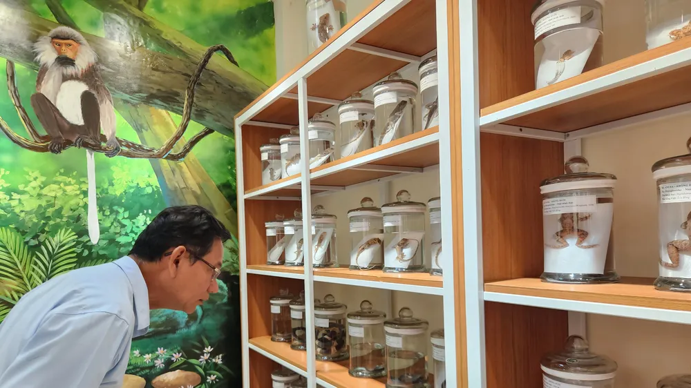 Quảng Nam đưa vào hoạt động Bảo tàng đa dạng sinh học cấp tỉnh đầu tiên trong cả nước