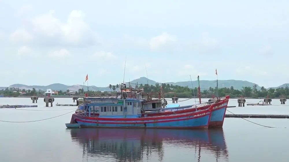 Quảng Nam: Một chủ tàu cá bị phạt 400 triệu đồng