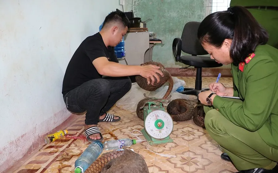 Nhận 20.000 đồng tiền công để vận chuyển 5 cá thể động vật quý hiếm