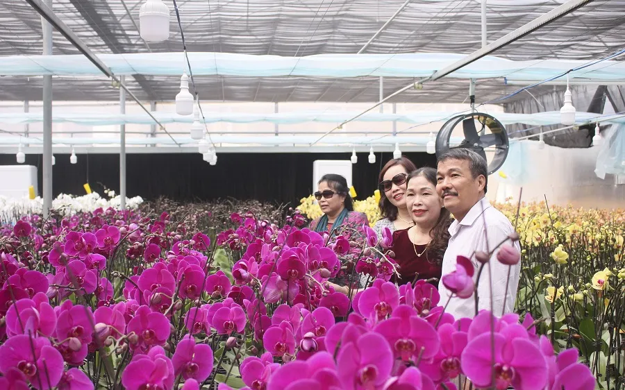 Sa Mù thu hút du khách cùng thương lái dịp cuối năm.