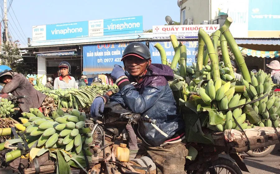 Nụ cười của nông dân vì chuối vừa được mùa vừa bán được giá cao.