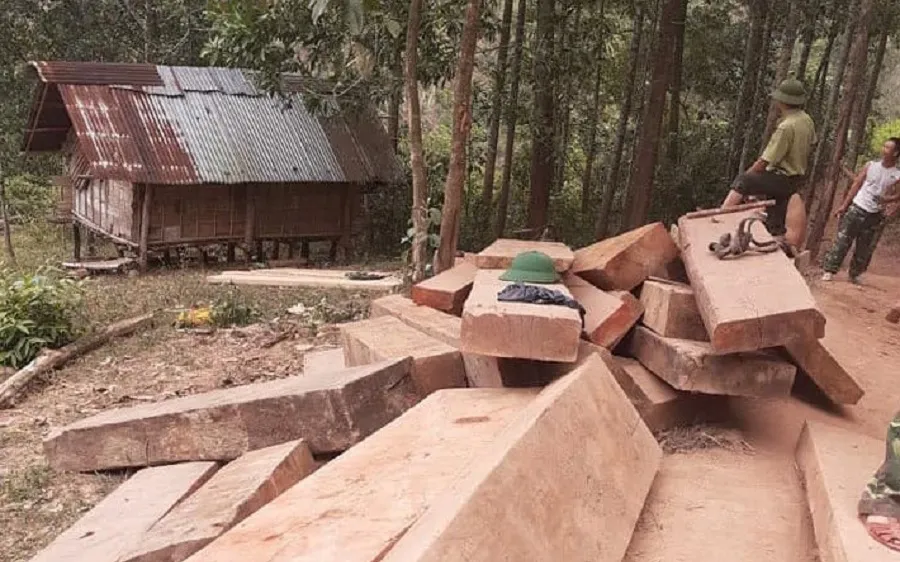 Số gỗ được phát hiện ở khu vực bìa rừng..