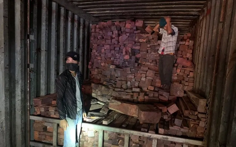 Quảng Trị: Phát hiện vụ buôn lậu gỗ, đá quý hiếm