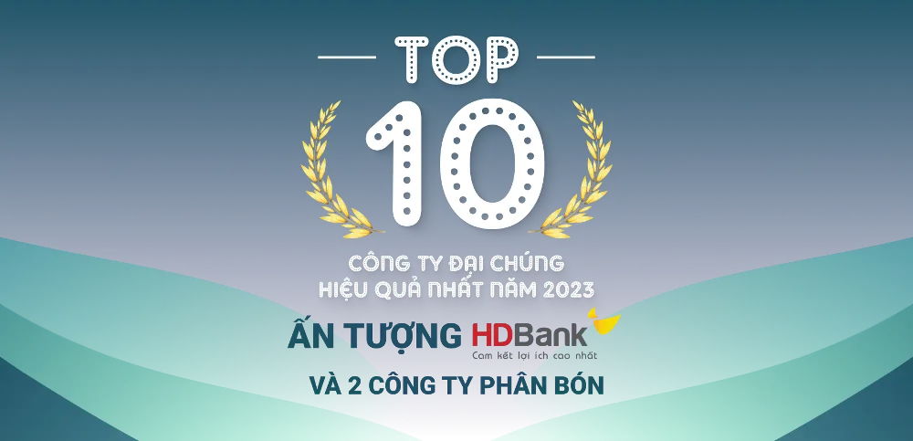 TOP 10 công ty đại chúng hiệu quả nhất năm 2023: Ấn tượng HDBank, Đạm Phú Mỹ và Hóa chất Đức Giang