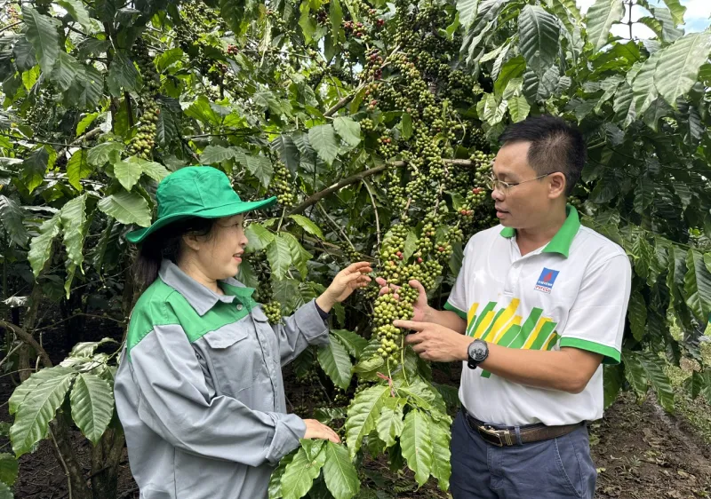 “Cho mùa bội thu” nhờ sử dụng phân bón hợp lý