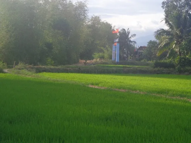 Con chở ba đi chúc Tết họ hàng