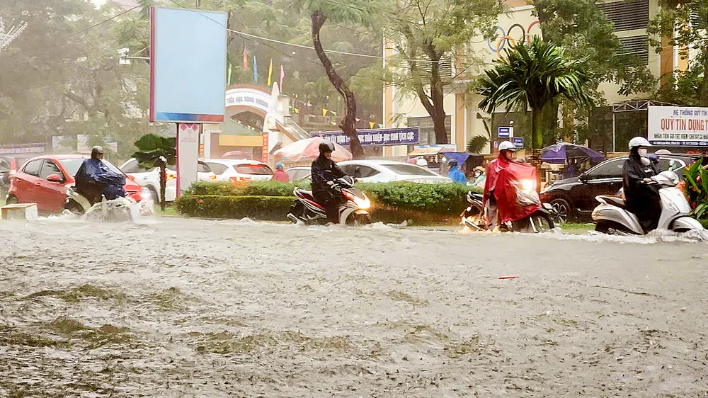 Miền Trung mưa lớn, nhiều nơi ngập nặng - ĐBSCL: Thu hoạch lúa vụ 3 để né triều cường