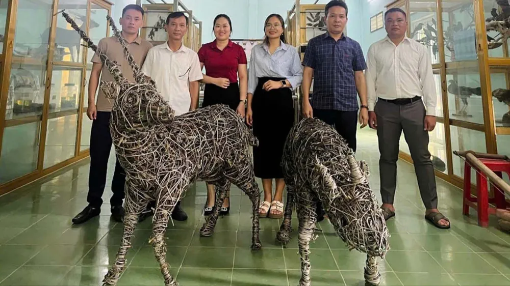 Đôi Sao La làm từ hơn 5.000 dây bẫy thú rừng