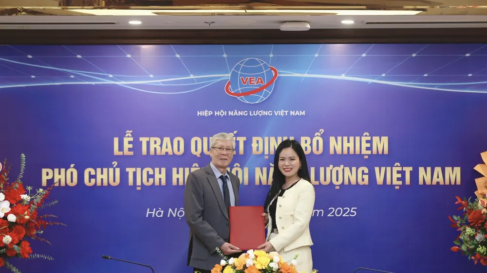 Lãnh đạo cấp cao T&T Group làm Phó Chủ tịch Hiệp hội Năng lượng Việt Nam