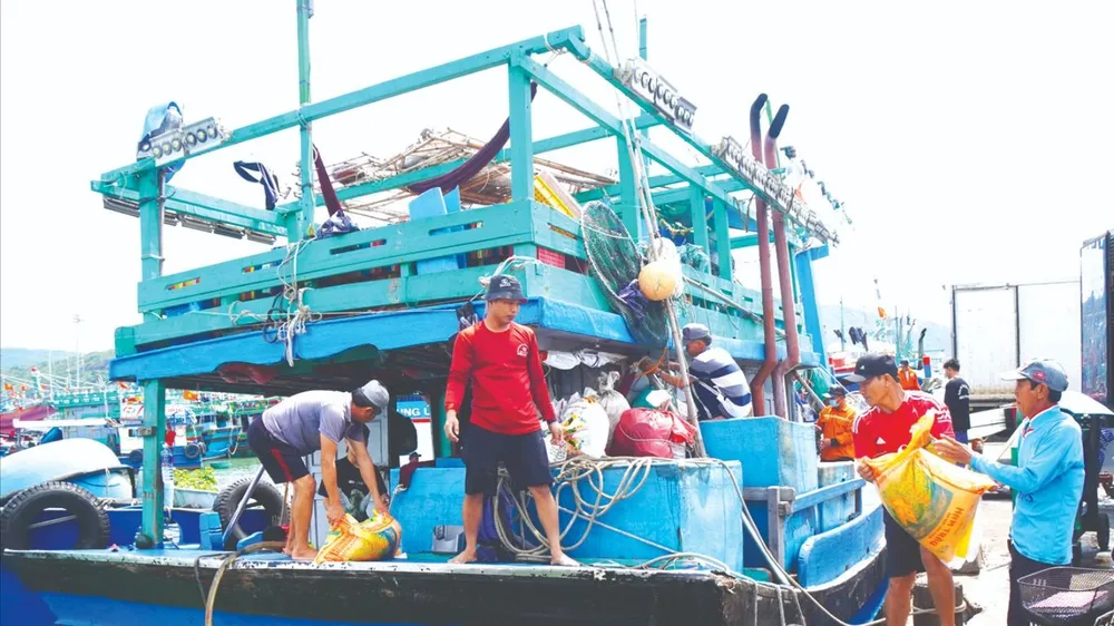 Chống khai thác IUU từ cảng cá - Bài 1: Nghiêm từ bến ra biển