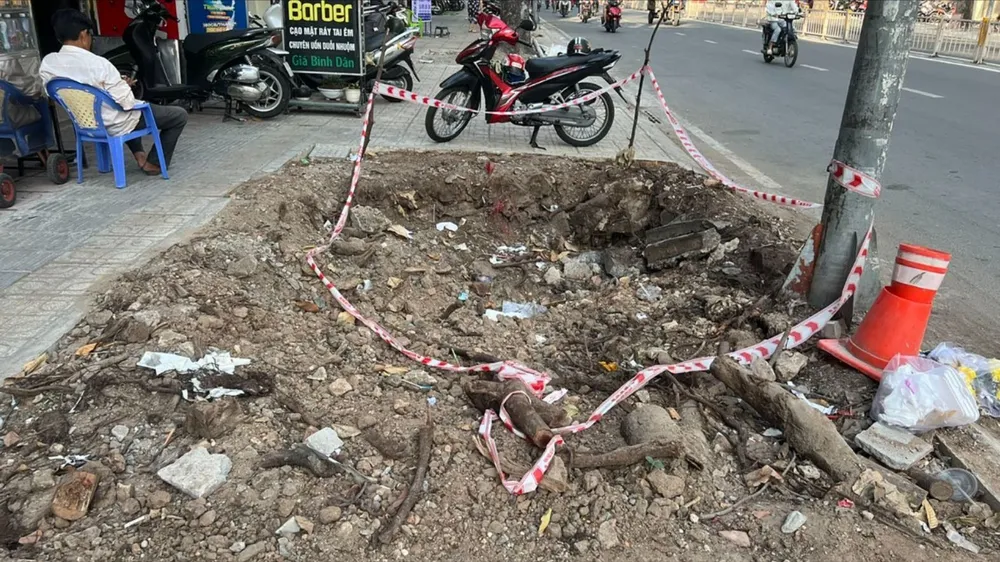 Làm mới vỉa hè, bức tử cây xanh: Đốn hạ 34 cây, xâm hại 324 cây trên địa bàn quận 5