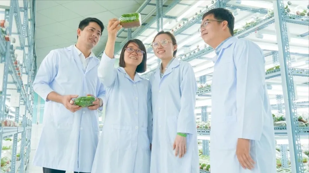 50 năm non sông liền một dải - Bài 11: Khoa học công nghệ khẳng định vai trò động lực