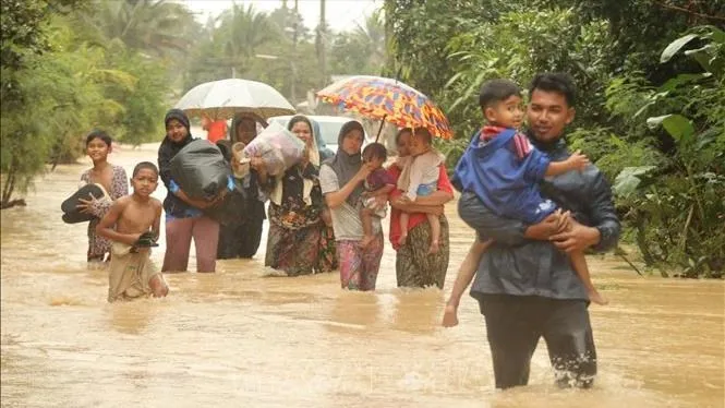 Lũ lụt nghiêm trọng ở Thái Lan, Malaysia