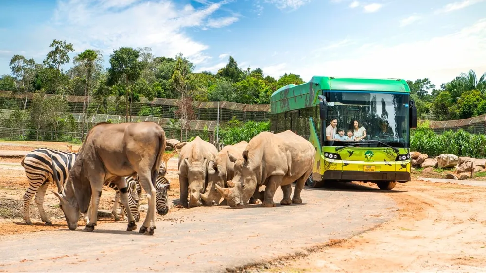 Những “hành khách” nặng hàng tấn, bay chuyên cơ tới Safari lớn nhất Việt Nam giờ ra sao?