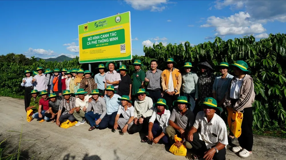 Canh tác cà phê thông minh tại Đắk Hà: cây khỏe, giữ quả tốt, giảm phát thải