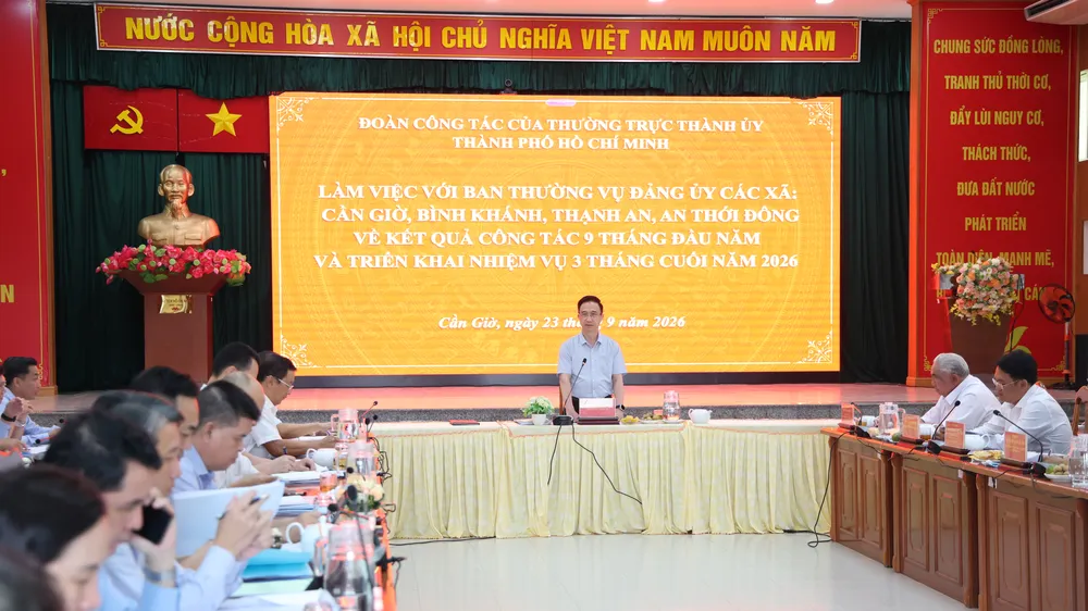 Phó Bí thư Thành ủy TPHCM Đặng Minh Thông chủ trì buổi làm việc. Ảnh: LÊ THOA