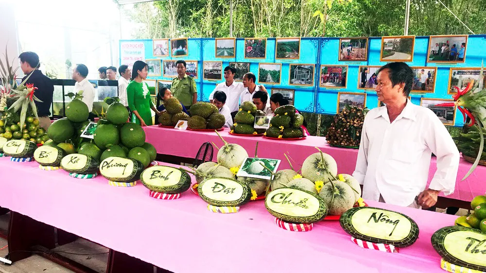 Hậu Giang: Xây dựng nông thôn mới nâng cao giúp người dân tăng 1-2 lần thu nhập