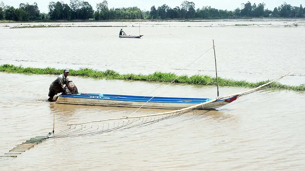 Nước lên nhanh, lũ sắp đạt ngưỡng báo động 2