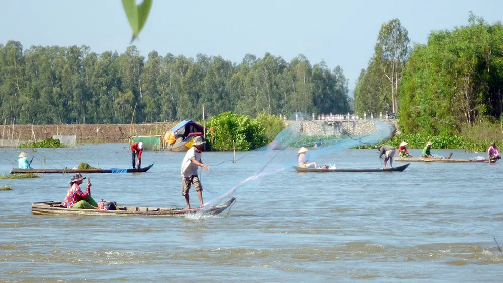 ĐBSCL mong được hỗ trợ mô hình sinh kế bền vững trong mùa lũ