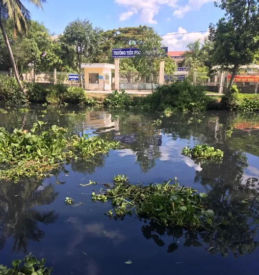 Hậu Giang: Dòng nước đen “bí hiểm” lan rộng