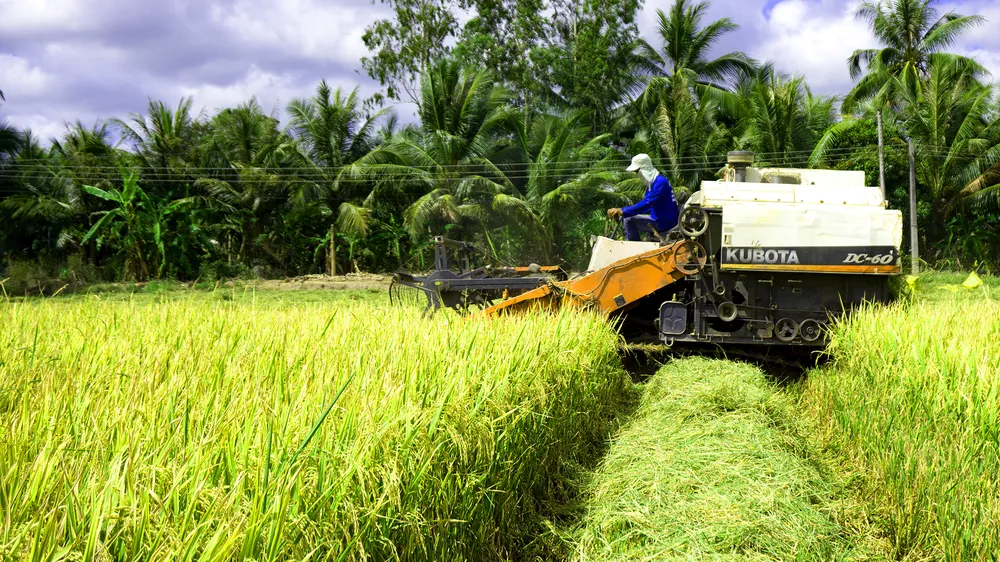 Giúp nông dân trồng lúa tích hợp các giải pháp giảm thất thoát sau thu hoạch