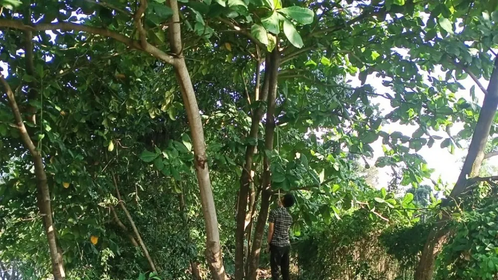 Hiện trường nơi phát hiện thi thể P.