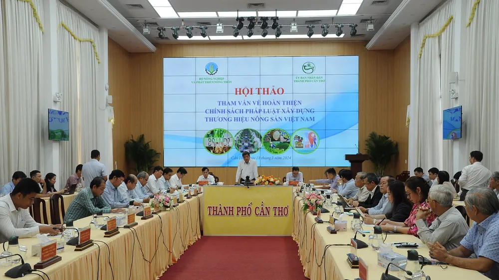 Quang cảnh hội thảo