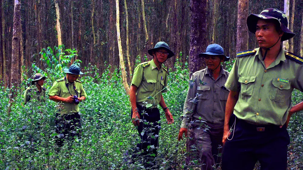 Lực lượng kiểm lâm Hậu Giang đi tuần tra ở Lung Ngọc Hoàng 
