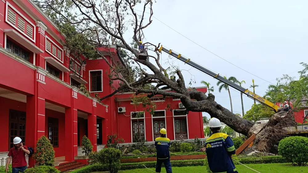 TPHCM hỗ trợ nhân lực cùng Hà Nội, Hải Phòng khắc phục hậu quả bão số 3 