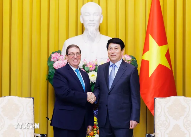 Chủ tịch nước Lương Cường tiếp Bộ trưởng Bộ Ngoại giao Cuba