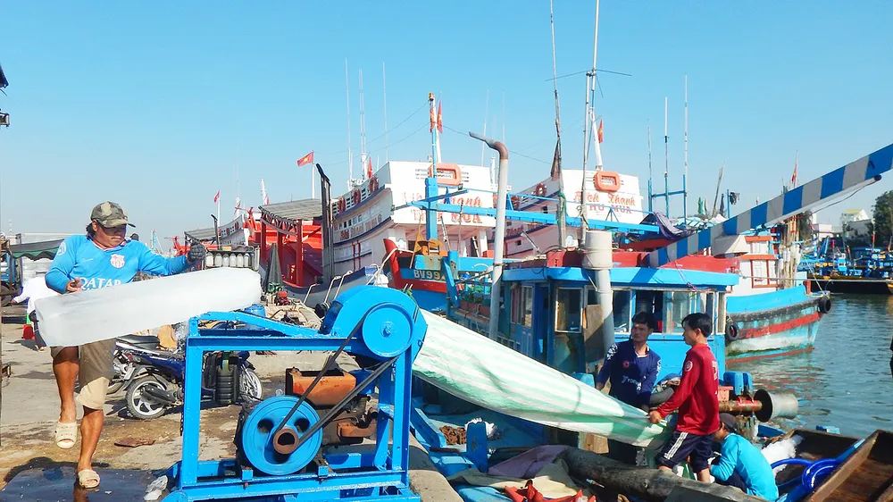 Giá nhiên liệu tăng nhưng nhờ chủ động thích ứng, hoạt động khai thác hải sản của ngư dân tỉnh Bình Thuận vẫn đạt hiệu quả