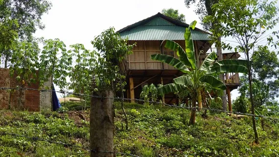 Kiểm tra việc cấp đất trái luật cho vợ cựu Chủ tịch UBND huyện Vĩnh Thạnh, tỉnh Bình Định 