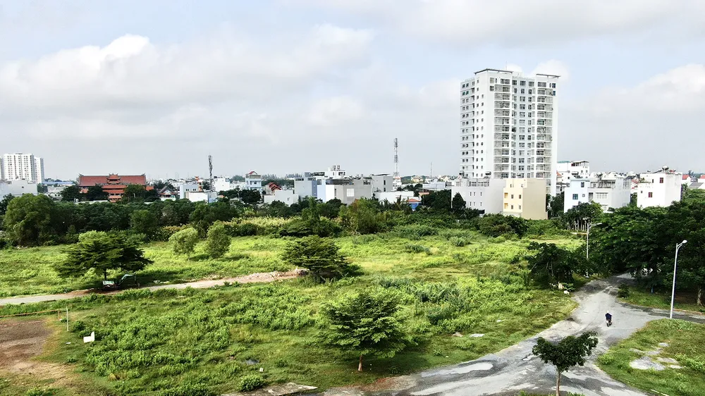 Người dân sống gần những vùng đất bỏ hoang đầy côn trùng và rắn rết vì quy hoạch “treo” tại huyện Nhà Bè, TPHCM