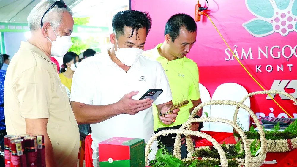 Người dân tìm hiểu các sản phẩm từ sâm Ngọc Linh được trưng bày tại Phiên chợ sâm Ngọc Linh ở Kon Tum 