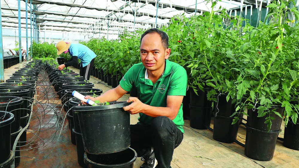 Nguyễn Đức Huy với mô hình đơn giản hóa phương pháp trồng rau thủy canh để áp dụng đại trà. Ảnh: ĐOÀN KIÊN