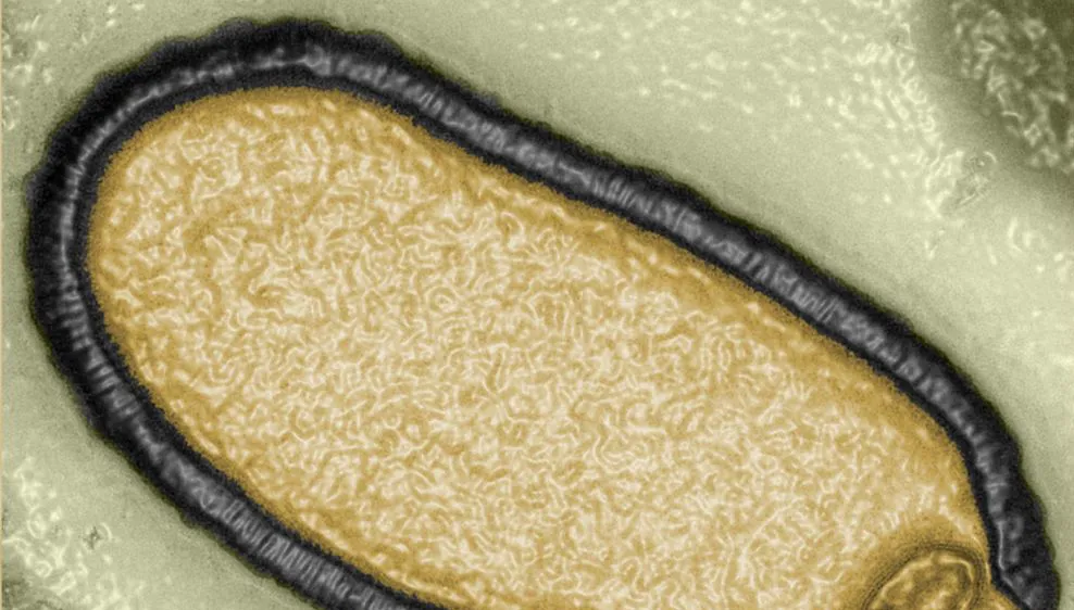 Một virus cổ đại được phân lập từ một mẫu băng vĩnh cửu