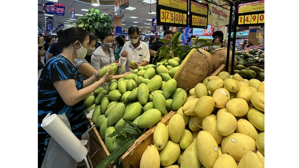Nhu cầu tiêu thụ xoài Đồng Tháp tăng cao