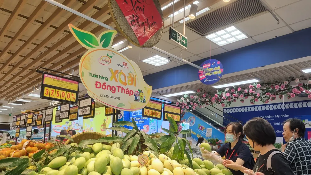 Tuần hàng xoài Đồng Tháp tại Co.opmart giúp tiêu thụ 200 tấn xoài trong 5 ngày 