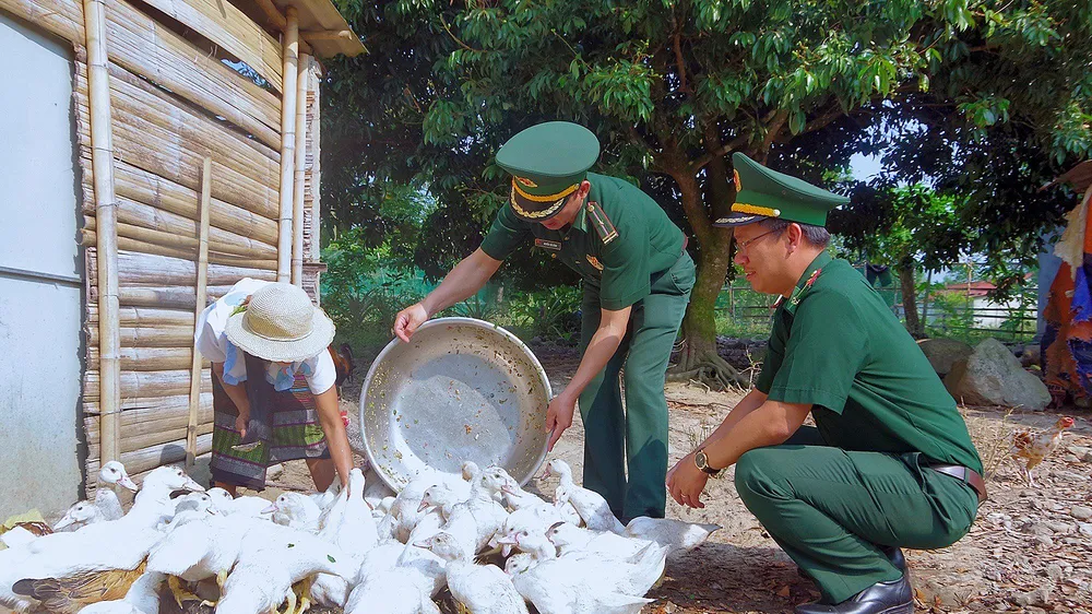 Đàn ngan giống từ mô hình “Đàn ngan khăn quàng đỏ” của Đồn biên phòng cửa khẩu Hồng Vân tặng gia đình chị Lê Thị Khêm 