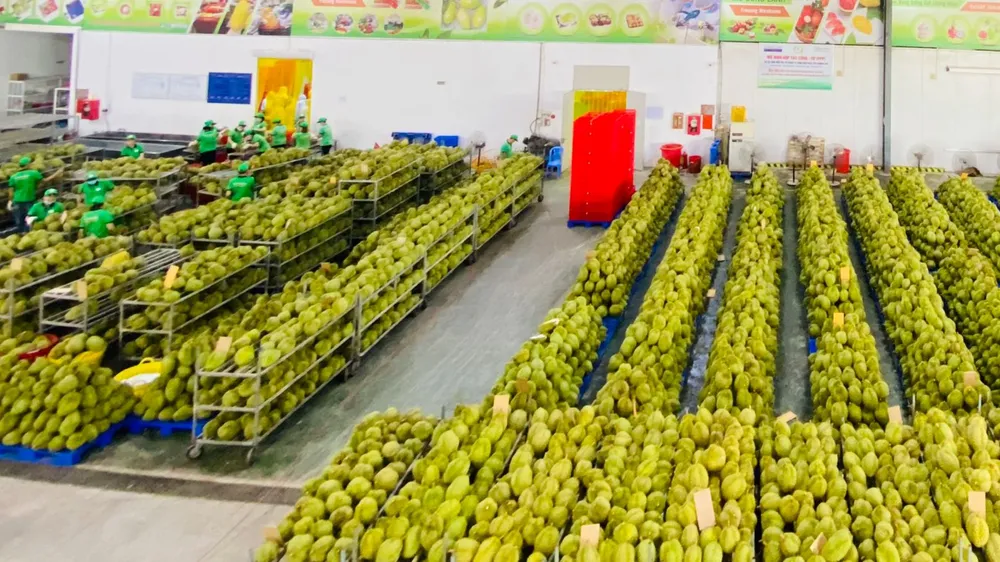 Điểm sáng nông nghiệp