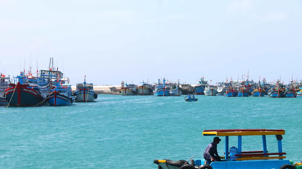 Triển khai các biện pháp chống IUU hiệu quả, ngư dân Bình Thuận an tâm vươn khơi bám biển