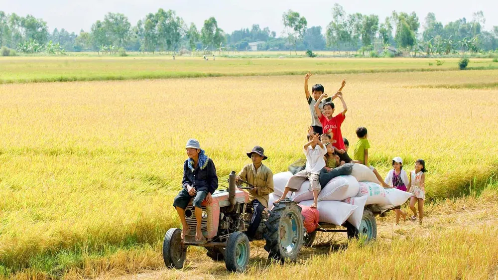 Đánh giá hiệu quả mô hình Hội Nông dân tín chấp cho nông dân vay vốn phát triển sản xuất