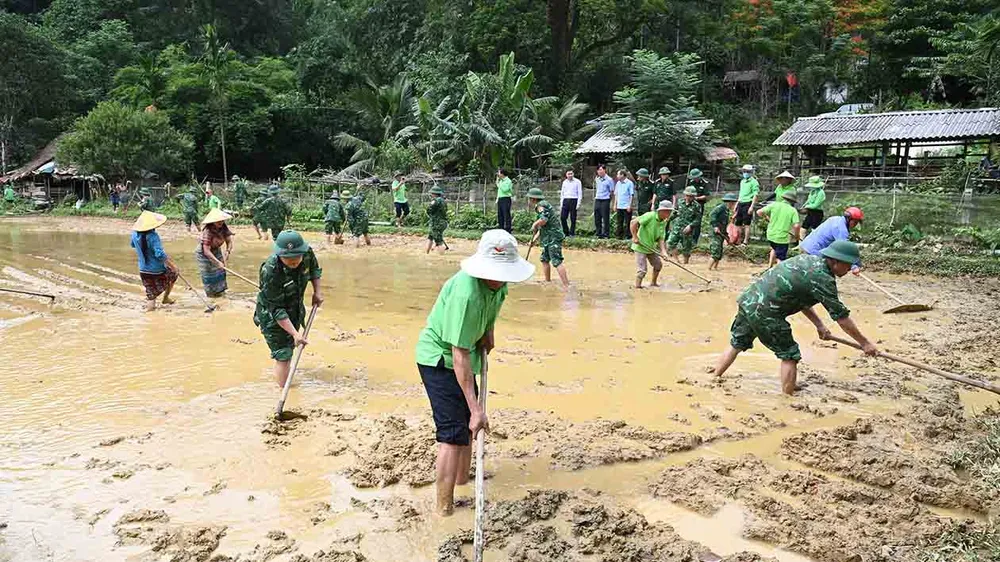 Giúp bà con sản xuất vụ hè thu