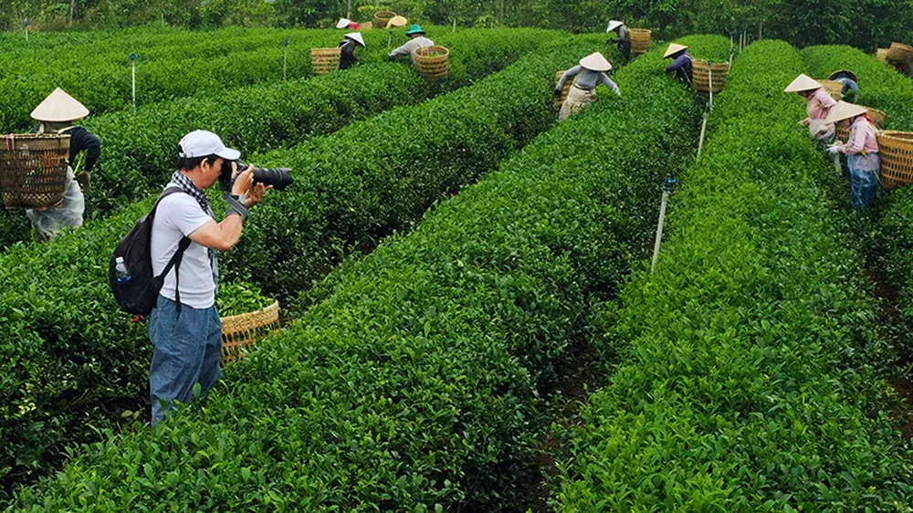 Mong chờ sân chơi nhiếp ảnh chuyên nghiệp, công bằng, hướng đến giá trị sâu sắc