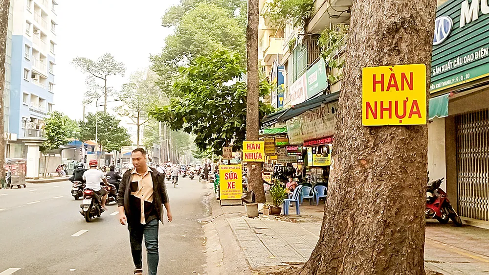 Cây xanh trên đường Nguyễn Chí Thanh, quận 5, TPHCM bị đóng đinh treo biển quảng cáo