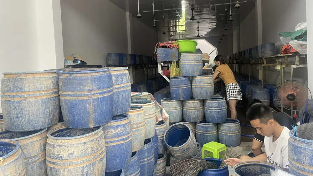 Một cơ sở sản xuất giá đỗ sử dụng hóa chất cấm để kích thích tăng trưởng bị Công an TP Quảng Ngãi (tỉnh Quảng Ngãi) phát hiện 