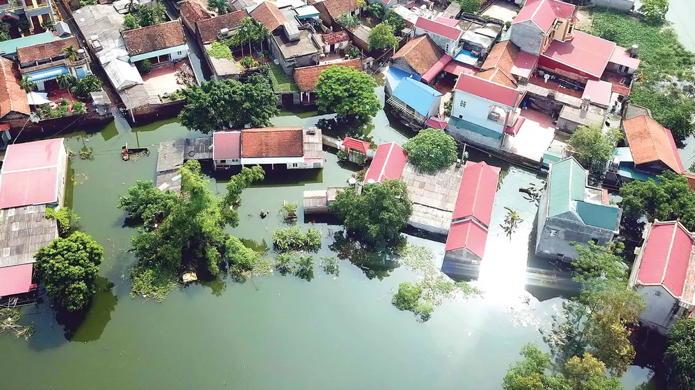 Hà Nội sẽ hỗ trợ hộ trồng đào, quất cảnh thiệt hại nặng do mưa bão