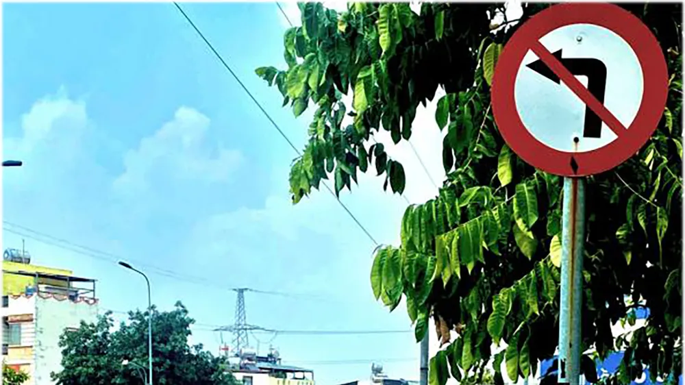 Tiện đâu đi đó